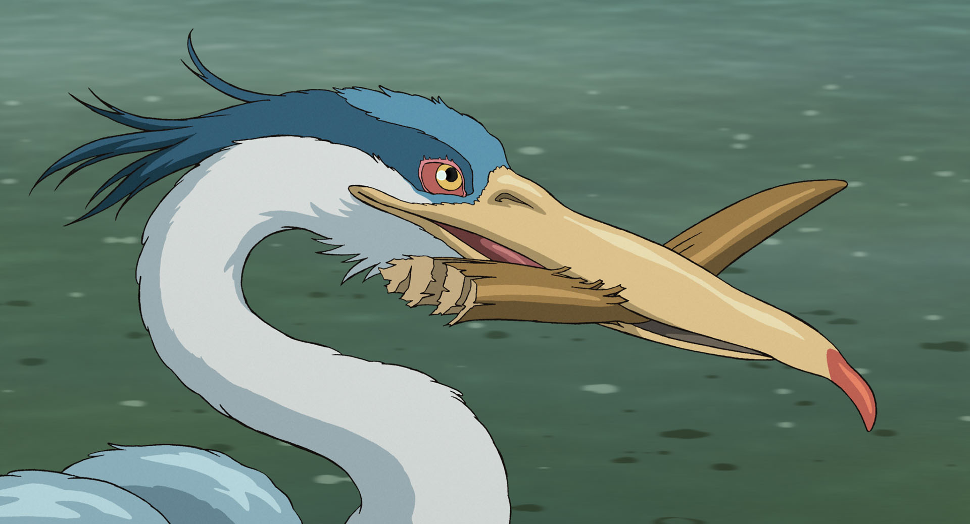 你想活出怎样的人生